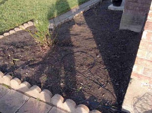 Weeding by Donovan Perry for Brad T. in Houston, TX