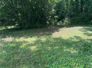 Bush Trimming by Trapper Ellis for Gregory P. in Memphis, TN
