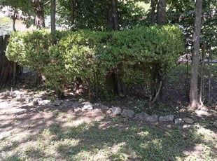 Cleanups by Francisco Gonzalez for Nicole E. in San Antonio, TX
