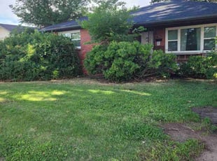 Bush Trimming by Kenneth Scarpelli for Preston T. in Haysville, KS
