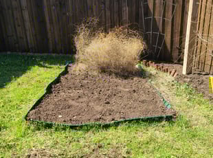 Weeding by Brian Chancellor for Bryan w. in Dallas, TX