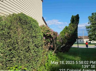 Bush Trimming by Adam Smith Kateera for Marta J. in Eagleville, PA