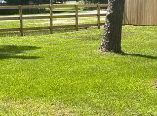 Larry H.'s Lawn Mowing service result
