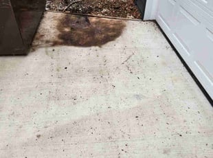 Leaf Removal by Jerry Ashlock for Daniel B. in St. Louis, MO