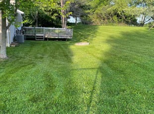 Chuck G.'s Grass Cutting service result