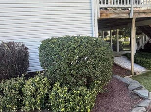 Bush Trimming by Eduardo Guzman for Bob V. in Sterling, VA