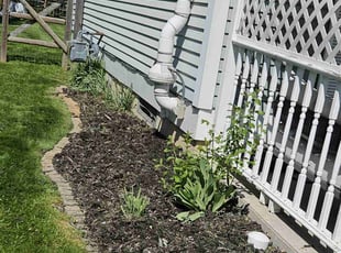 Weeding by Frederick Griner for Michael J. in Perrysburg, OH