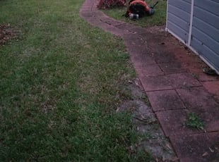 Leaf Removal by Emily Fontenot for David L. in Slidell, LA