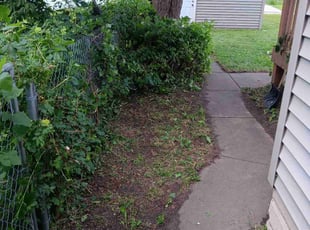 Bush Trimming by James Rogers for Patrice B. in Minneapolis, MN