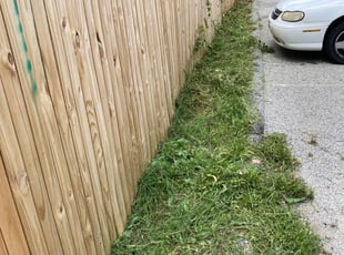 Bush Trimming by Samuel Jordon for Eric H. in Baltimore, MD