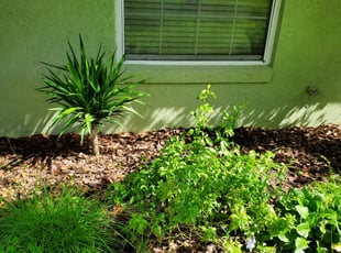 Silmari E.'s Flower Bed Weeding service result