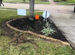 Leaf Removal by Paul Jones for Heidi V. in Katy, TX