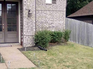 Weeding by Joseph White for Gee K. in Cordova, TN