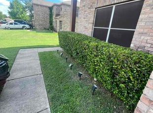 Bush Trimming by Marcos Aguilar for Nuecell B. in Cedar Hill, TX