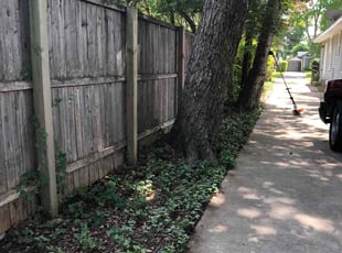 Leaf Removal by Adriana Ramirez for Trey M. in Dallas, TX