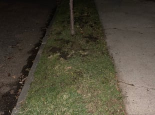 Leaf Removal by Hendri H for Douglas W. in Columbus, OH