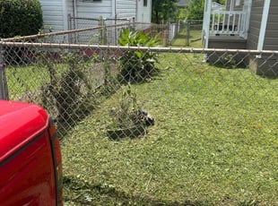 Bush Trimming by Kevin Corbin for Ledarius S. in Chattanooga, TN