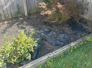 Weeding by Leroy Green II for Jamie E. in Columbus, OH