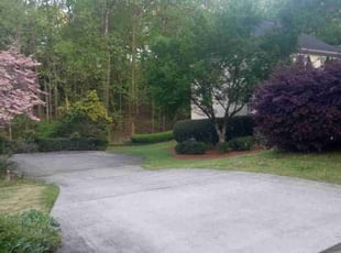 JP P.'s Lawn Mowing service result