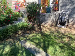 Bush Trimming by Jose Pena for Precious N. in Charlotte, NC