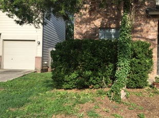 Bush Trimming by Duane Cotton for Deborah C. in San Antonio, TX