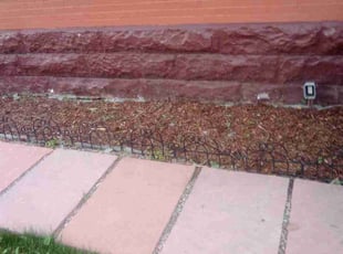 Weeding by Tom Davis for Theresa S. in Denver, CO