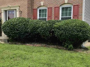Bush Trimming by Terrence Hawkins for Erik B. in Waldorf, MD