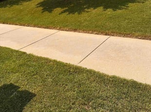 Liz F.'s Lawn Mowing Service service result