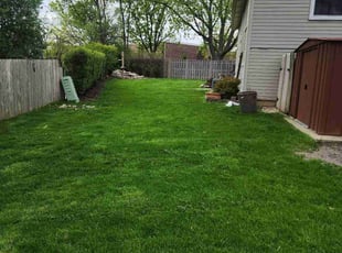 Kim F.'s Lawn Service service result