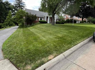 Matt H.'s Lawn Mowing service result