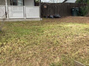 Leaf Removal by Jonathan Allen for Sarah C. in Sacramento, CA