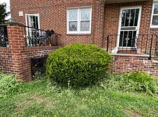 Bush Trimming by Deven Coles for Sonya W. in Philadelphia, PA