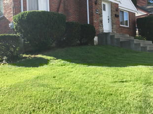 Bush Trimming by Ronald Jacobs for Cheri C. in Cincinnati, OH