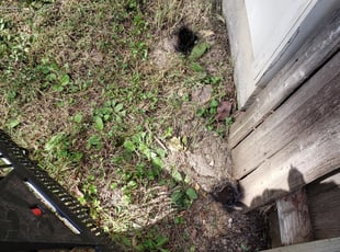 Cleanups by Lee Bates for Sean R. in Overland Park, KS