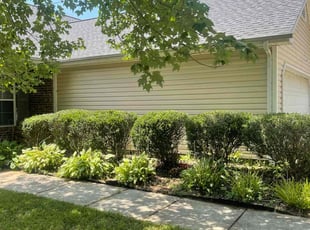 Bush Trimming by Isaiah Miller for Phillip P. in Greensboro, NC
