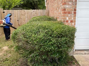 Bush Trimming by Ireiane Davis for Lisa W. in Houston, TX