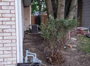 Bush Trimming by James Adams IV for Jim B. in Wichita, KS