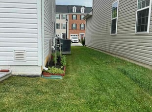 Stacy V.'s Yard Cutting service result