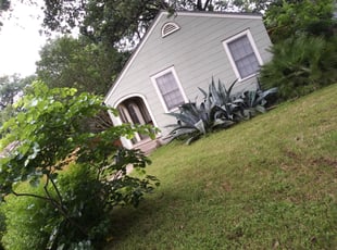 Cleanups by Lucio Gonzales for Melina c. in Austin, TX