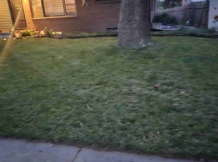 Cleanups by Tyler Pelster for Sarah L. in Lincoln, NE