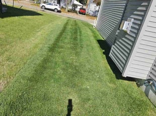 Pierre P.'s Lawn Service service result