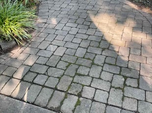 Bush Trimming by James Abernathy for Mike W. in Cincinnati, OH