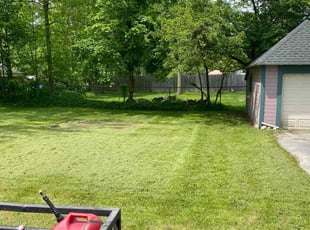 Naomi C.'s Lawn Mowing Service service result