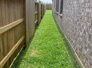 Ramona K.'s Lawn Mowing service result