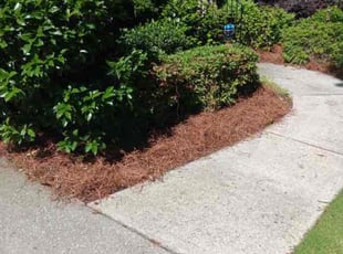 Mulching by Andrew Jones for Dana N. in Mableton, GA