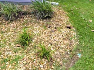 Weeding by Shawn Mcdonald for Toni T. in Gulf Breeze, FL