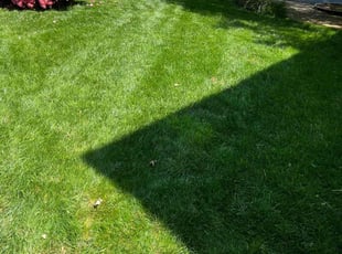 Eileen B.'s Lawn Care service result