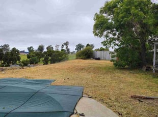 Cleanups by Orlando Miranda for Jennifer F. in San Diego, CA