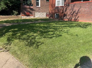 Rhiannon R.'s Lawn Mowing Service service result