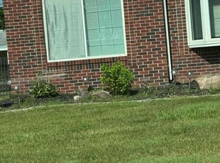 Bush Trimming by Kenneth Dockett for Darmicha D. in Sterling Heights, MI